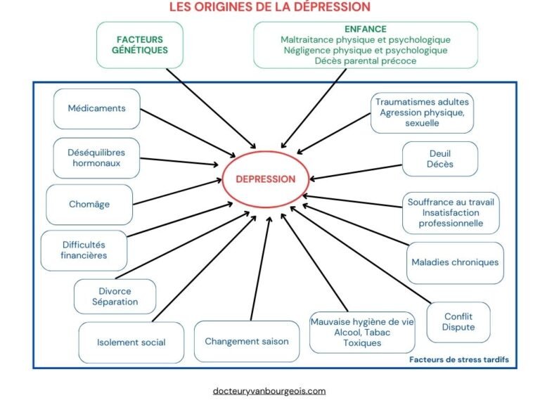 Les Causes de la Dépression